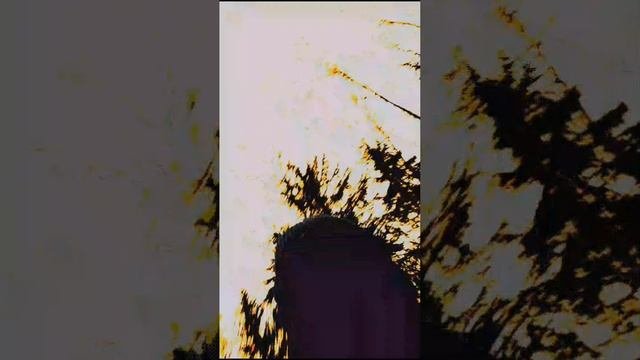 11 серия птичка 2 часть