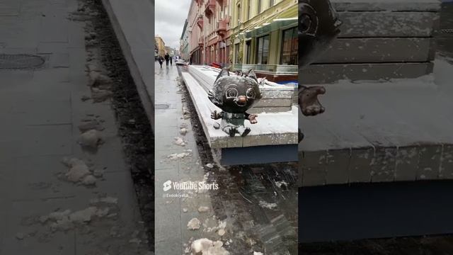 Котик -енотик.