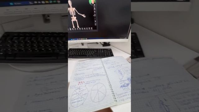 БЕСПЛАТНЫЙ МИНИ-КУРС ПО ОСАНКЕ И ФУНКЦИОНАЛЬНЫМ ТРЕНИРОВКАМ