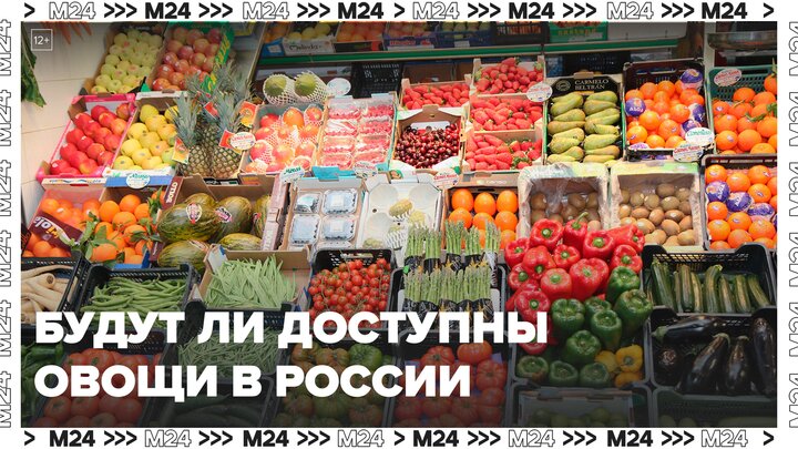 Мишустин призвал следить за доступностью овощей в России - Москва 24