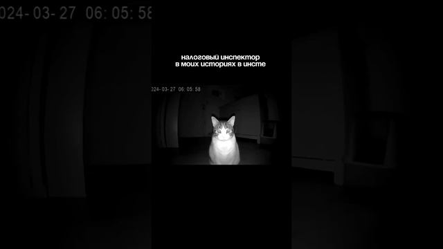 Всё ещё думаете, что налоговая не следит за вами в соц сетях?