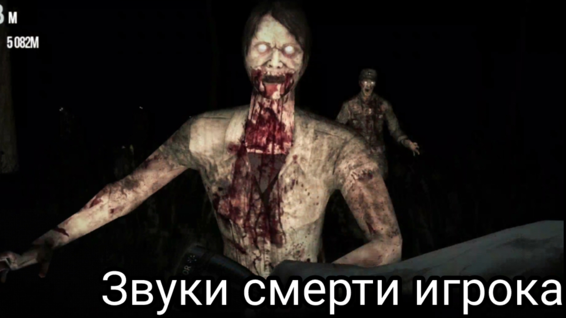 Звуки смерти игрока в игре Into The Dead