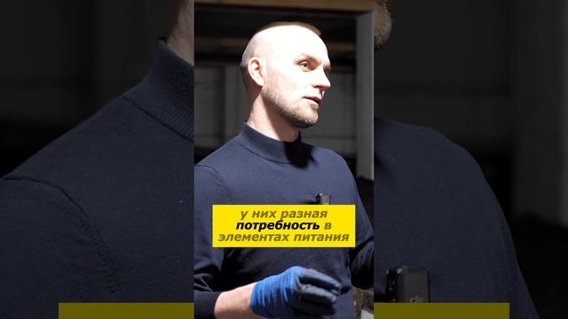 Как вернуть плодородие почвы и насладжаться урожаем  #органическоеудобрение #удобрение #биогумус