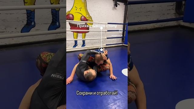 Gogoplata