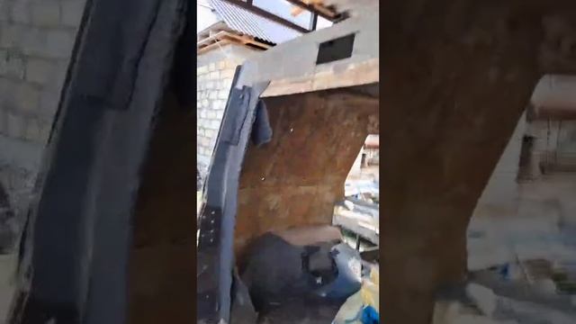Нива Лаура