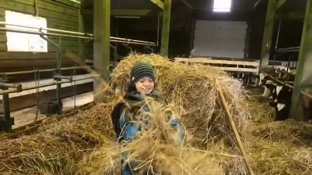 Путешествия по родному краю: Экскурсия на семейную ферму "Космакова"