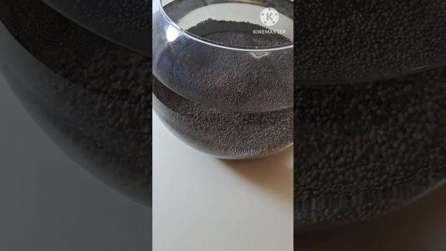 🌺Лотосы из семян