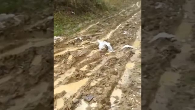 Мерседес каршеринга застрял в горах Сочи