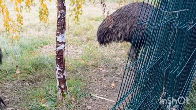 ПЕНСИОНЕРЫ ЗАЕХАЛИ В ЖЕНСКИЙ МОНАСТЫРЬ В ЧЕСТЬ ИКОНЫ БОЖИЕЙ МАТЕРИ ВСЕЦАРИЦА НА ТРАССЕ М4