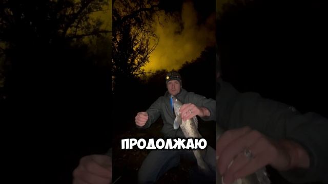 Судак на воблер110