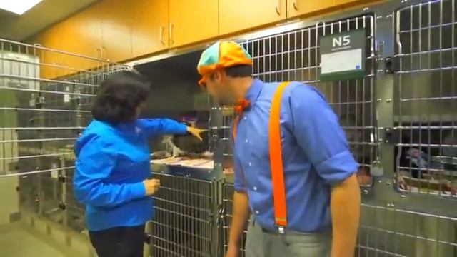 Blippi Visits a Zoo And Learns About Animals! _ Educational Videos for Kids