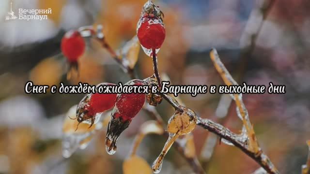 Барнаульцев предупреждают о снеге с дождём в конце недели