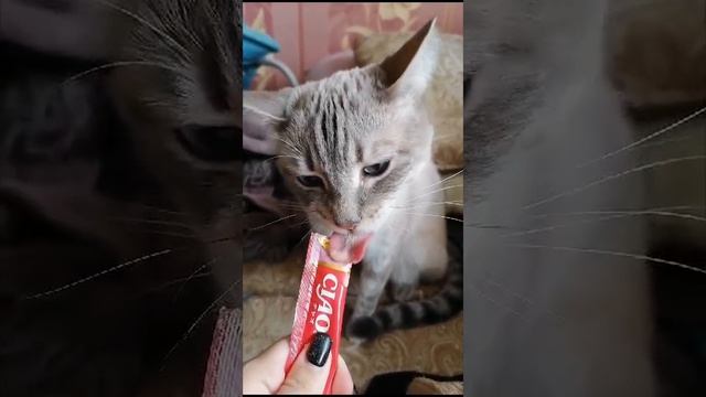 Чарльз