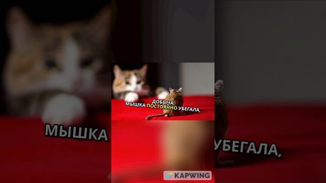 Робот кот играется с радиоуправляемой мышью