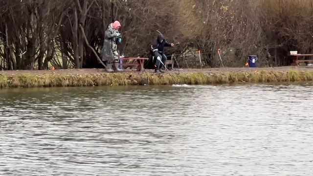 Онлайн с водоема