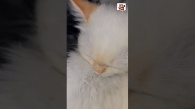 С Добрым утром Настюня 🌞❤️😻