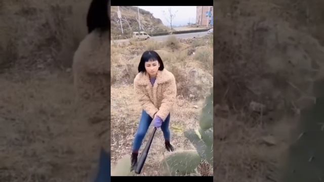 Паническая атака
