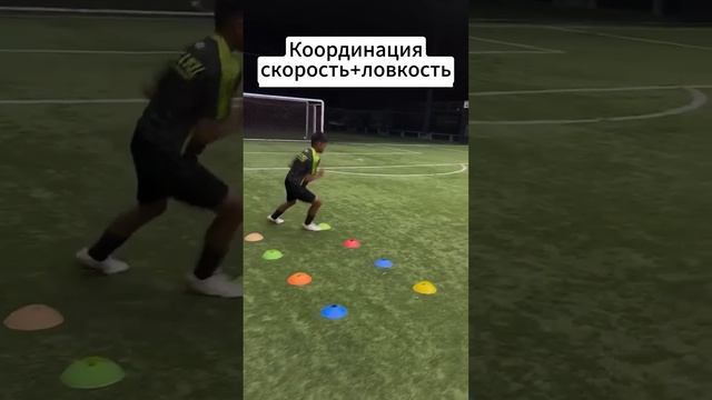 Упражнения на координацию+скорость+ловкость / Coordination exercises +speed+agility