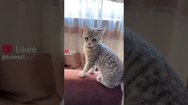 1000010809.mp4