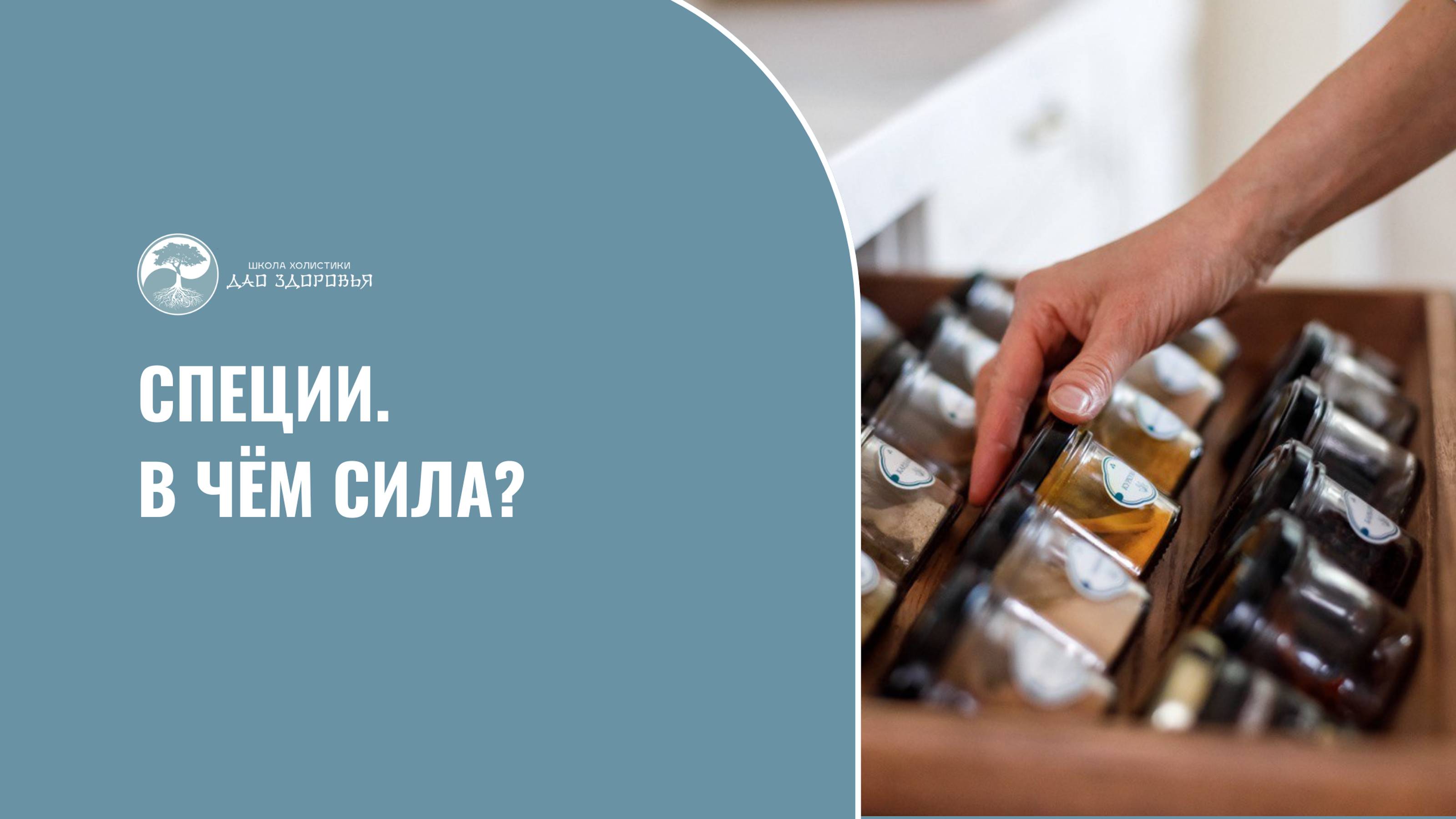 Специи. В чем сила