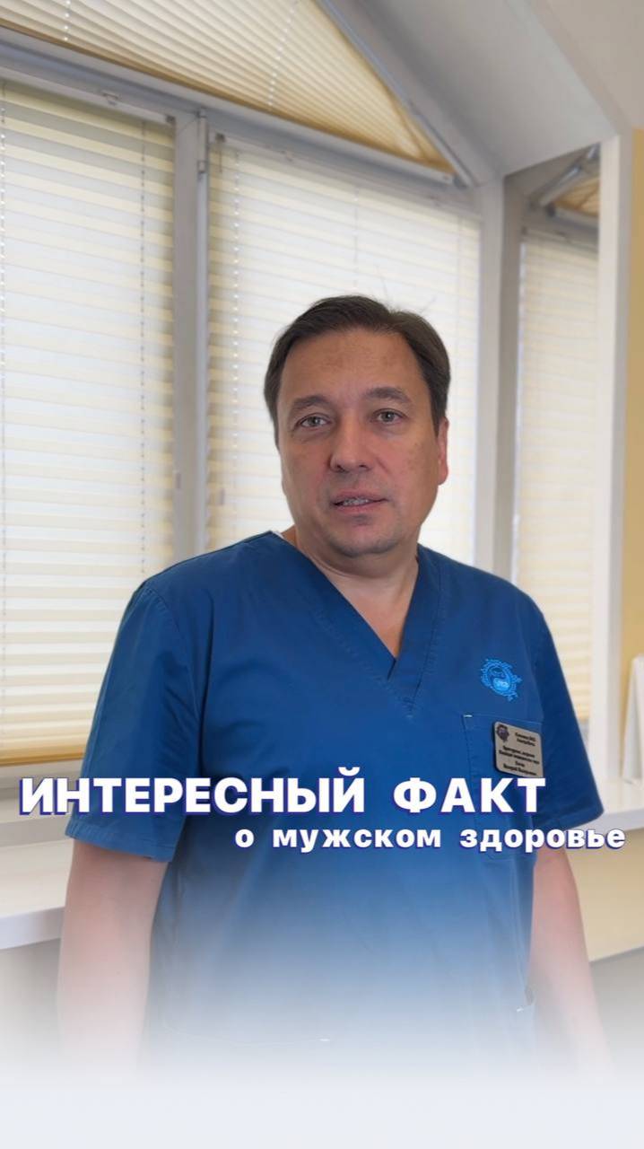 Сперматозоиды и эрекция — за это отвечают разные системы!