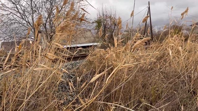 Дела прут !  Все надо убрать , вот так и живем