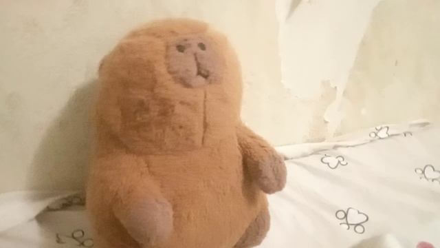 Сколько стоит капибара🐹