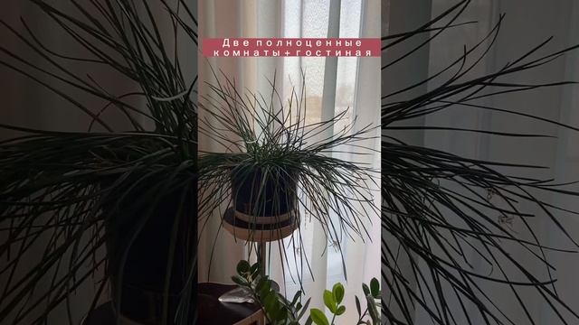 Омск, Кировский, Кировская 8-я, 70