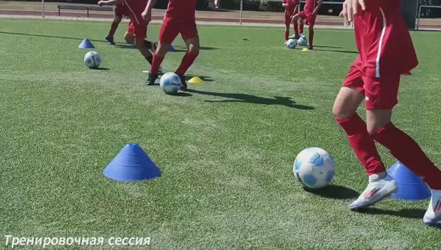 Тренировочная сессия / Training session