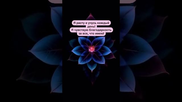 Я чувствую благодарность за все, что имею