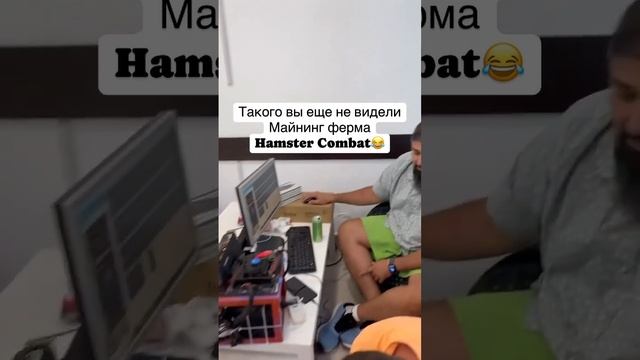 Май ним хомяка