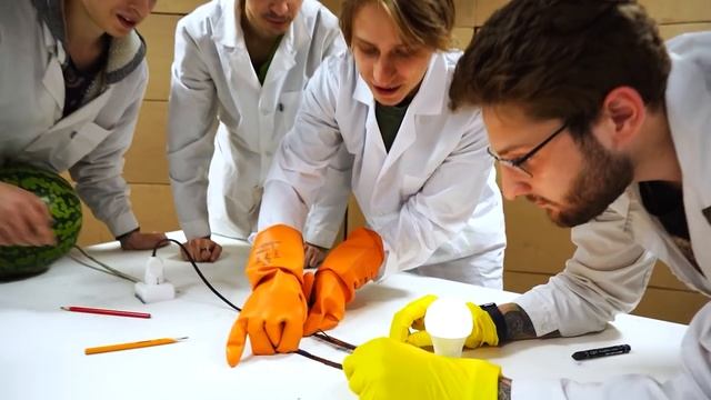 СДЕЛАЛИ РАБОЧИЕ ПРОВОДА ИЗ СОСИСОК!
