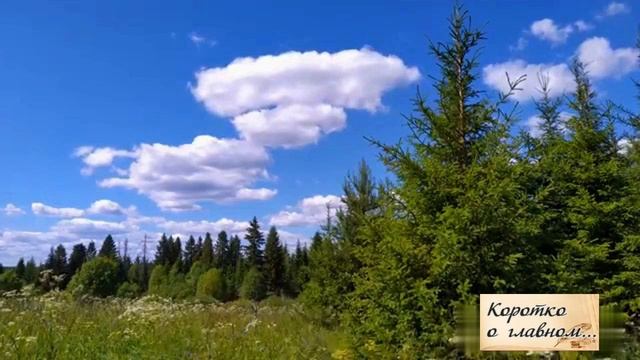 ЗАПАХ ЛЕТА... Интересно, а чем пахнет лето?