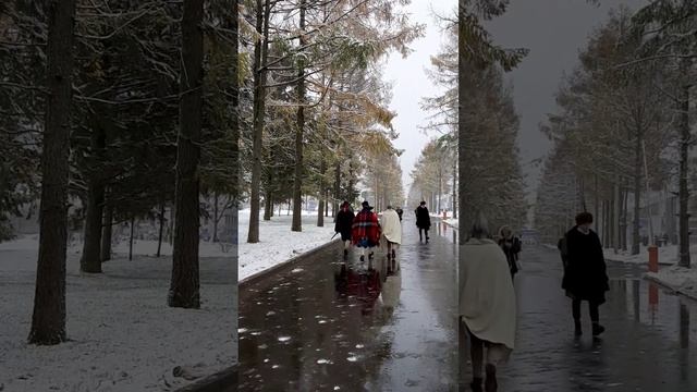 3 мушкетера и холодный ноябрь