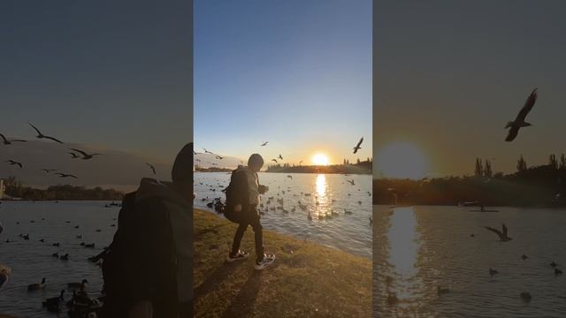 🦆 утки я вам весь БАТОН 🥖СКАРМИЛ