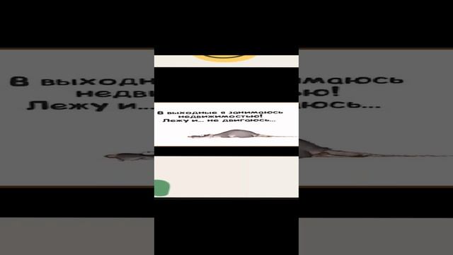юмор