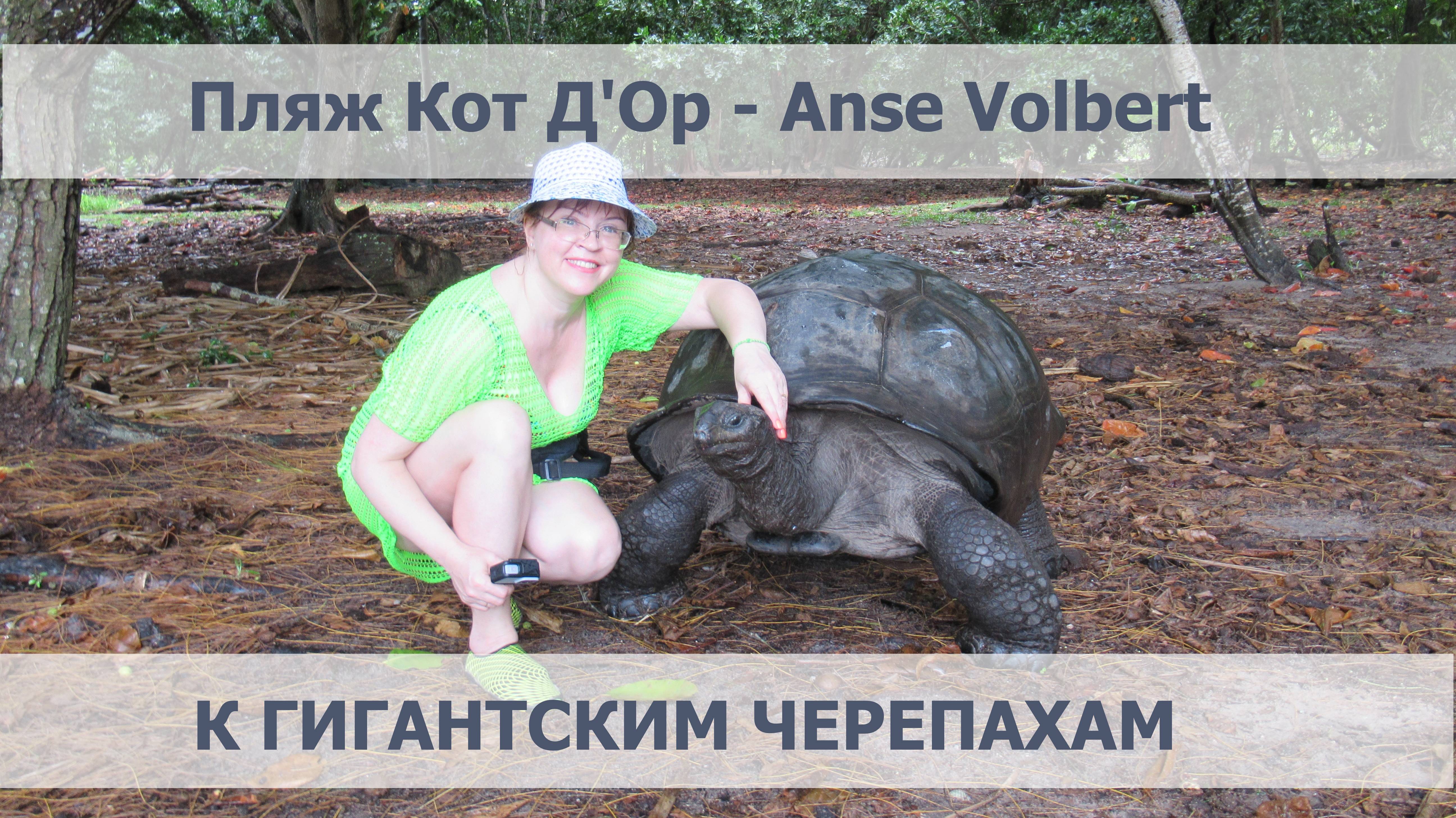 Курьез - остров гигантских сешельских черепах