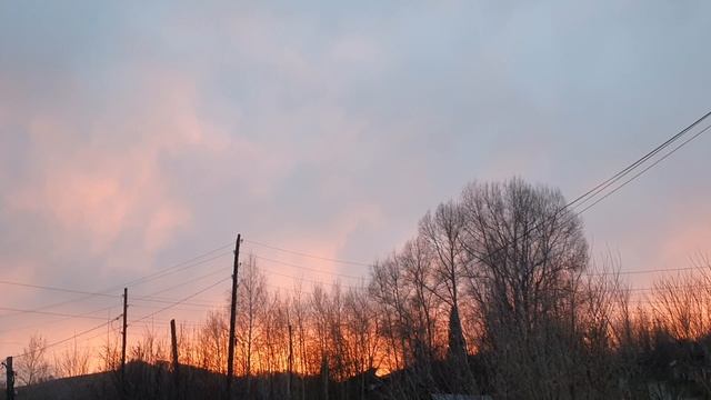 Накаркал