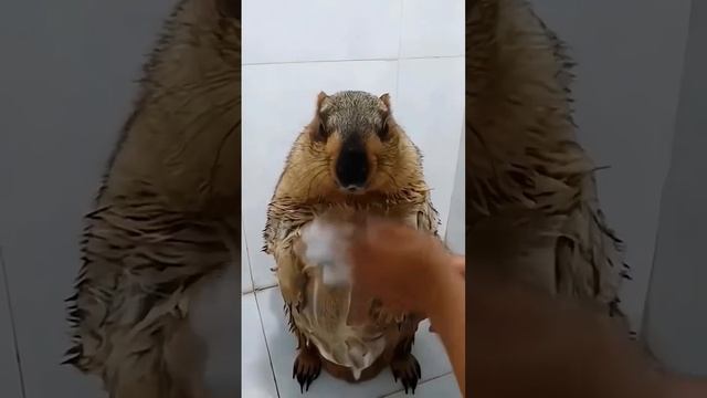 1000011677.mp4