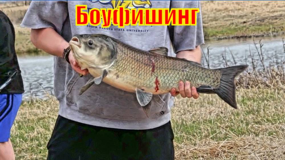 Боуфишинг