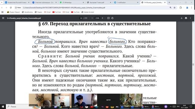 5 ноября русский язык 6 кл. Переход прилагательных в существительные.