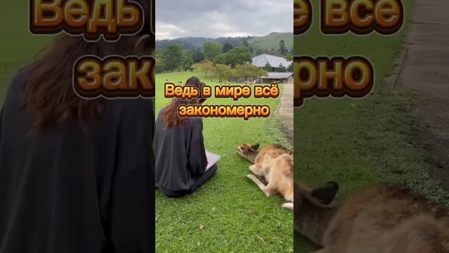 Цитата ОМАР ХАЙЯМ