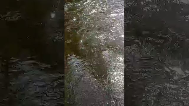 Наша речка Рожайка