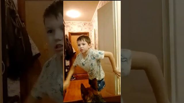 Просто видео