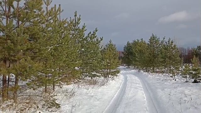 Первый снег.