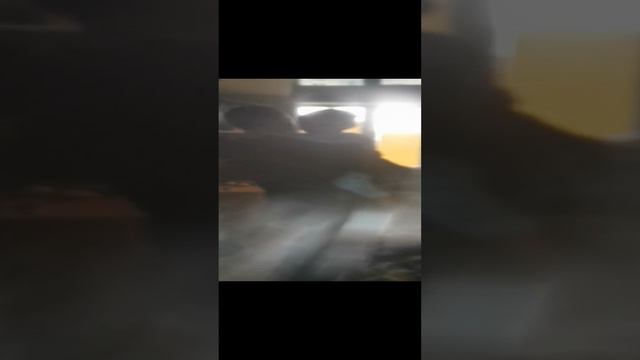 VID_20241026_100705.mp4