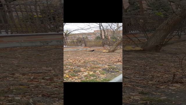 1000054022.mp4