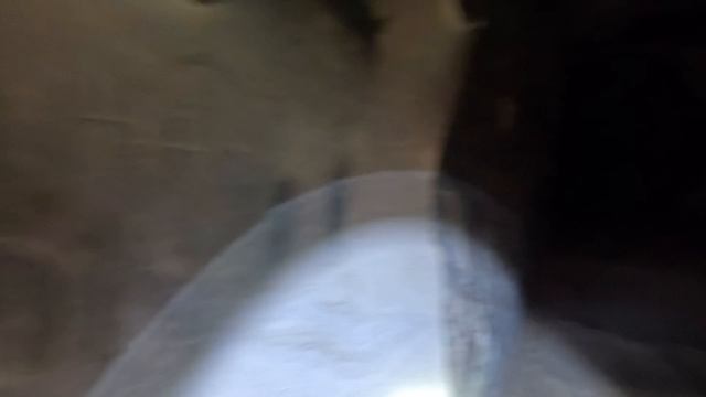 1000069477.mp4