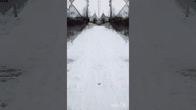 Новый сезон. ❄⛄
Грибы😁👍