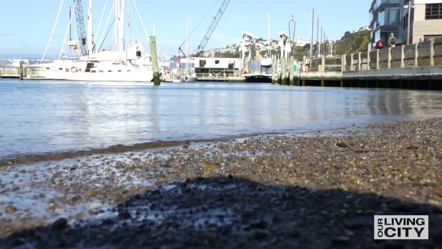 Stories of Our Living City - Waitangi Park